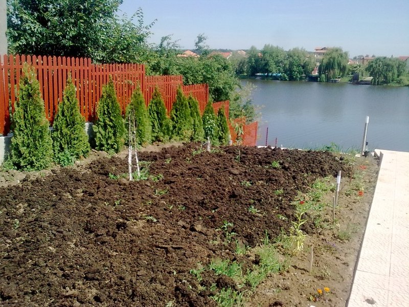 Cherry's Garden - Ingrijire gradini, irigatii, drenaje